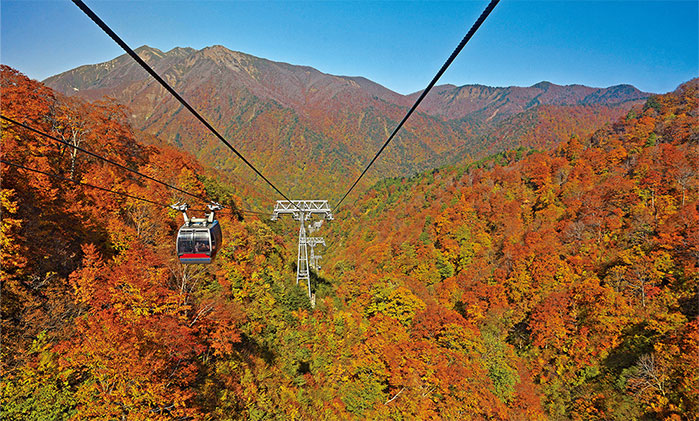 周辺の観光地が充実した立地